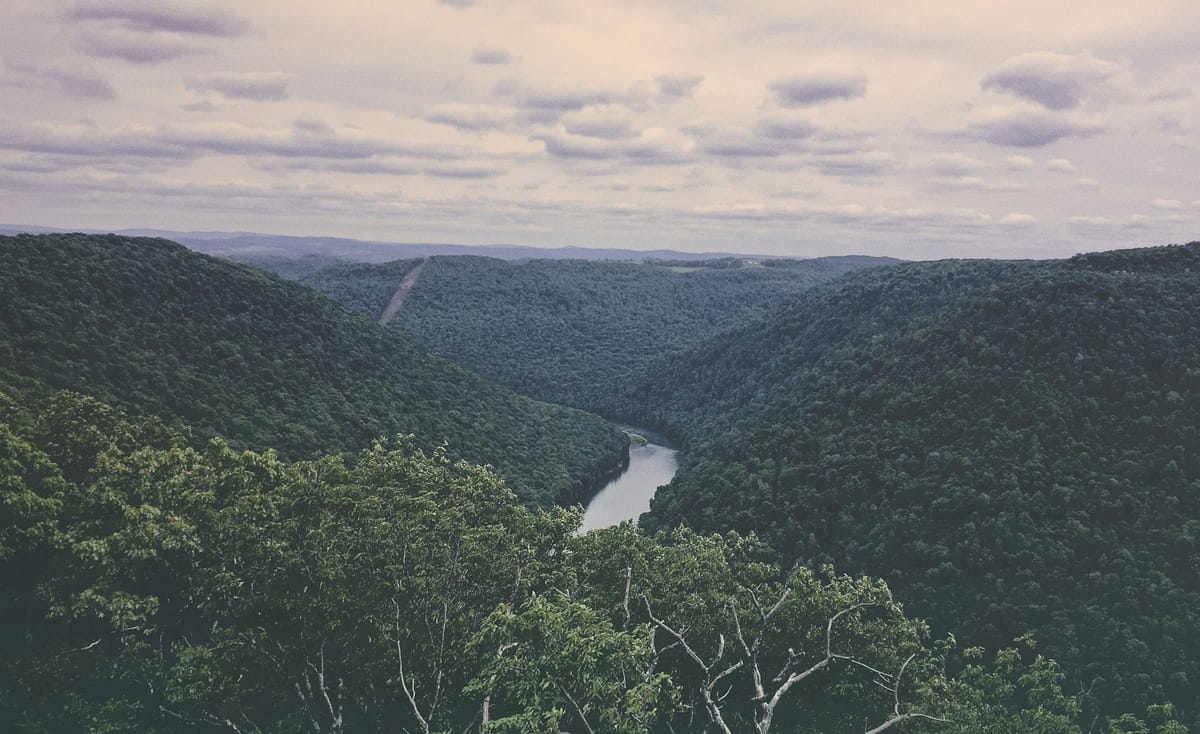 When Is a Consulting Partnership the Right Fit?