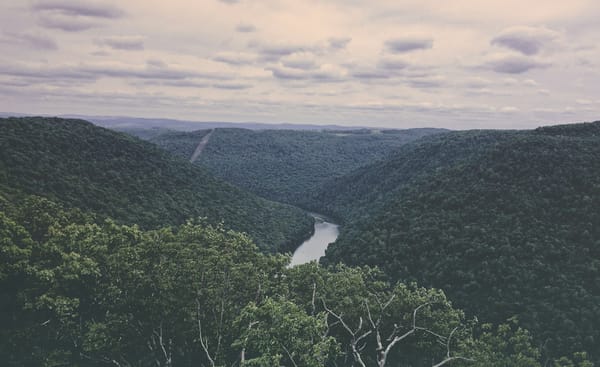 When Is a Consulting Partnership the Right Fit?